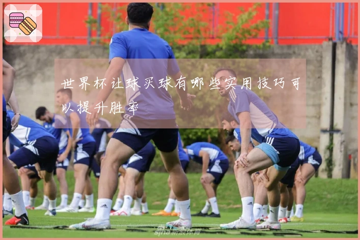 世界杯让球买球有哪些实用技巧可以提升胜率