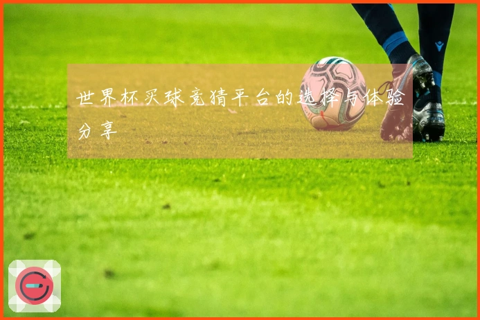 世界杯买球竞猜平台的选择与体验分享