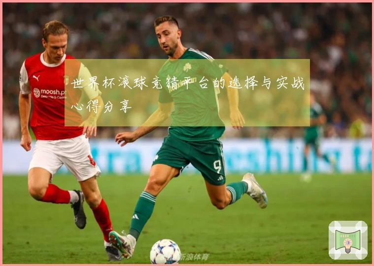 世界杯滚球竞猜平台的选择与实战心得分享