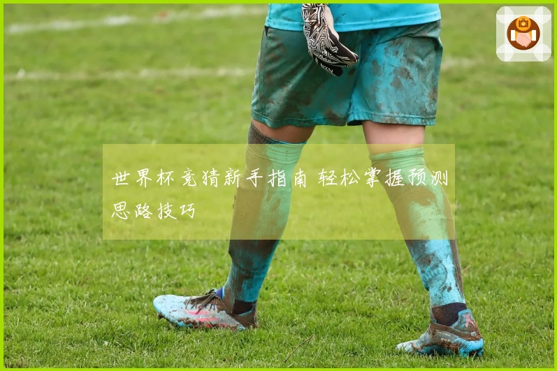 世界杯竞猜新手指南 轻松掌握预测思路技巧