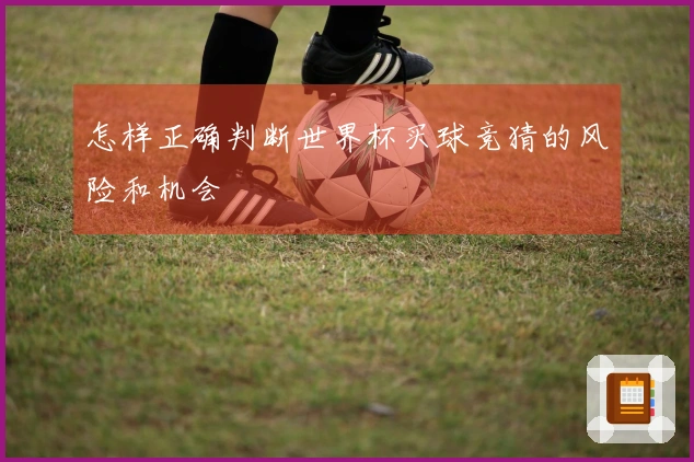 怎样正确判断世界杯买球竞猜的风险和机会