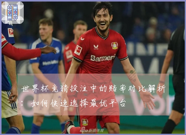 世界杯竞猜投注中的赔率对比解析：如何快速选择最优平台