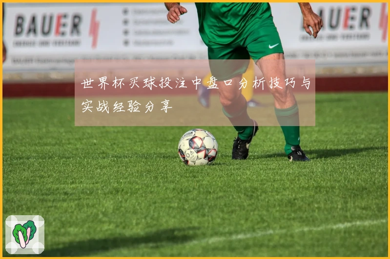 世界杯买球投注中盘口分析技巧与实战经验分享