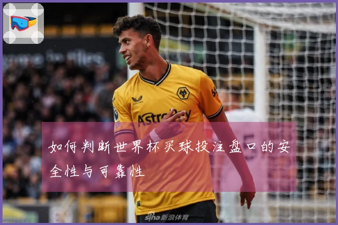 如何判断世界杯买球投注盘口的安全性与可靠性