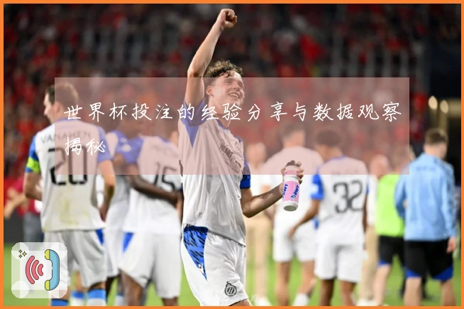 世界杯投注的经验分享与数据观察揭秘