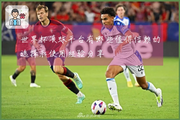 世界杯滚球平台有哪些值得信赖的选择和使用经验分享