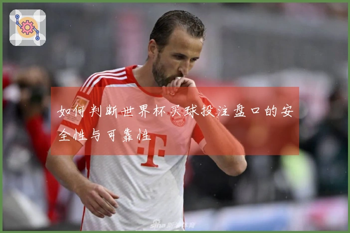 如何判断世界杯买球投注盘口的安全性与可靠性