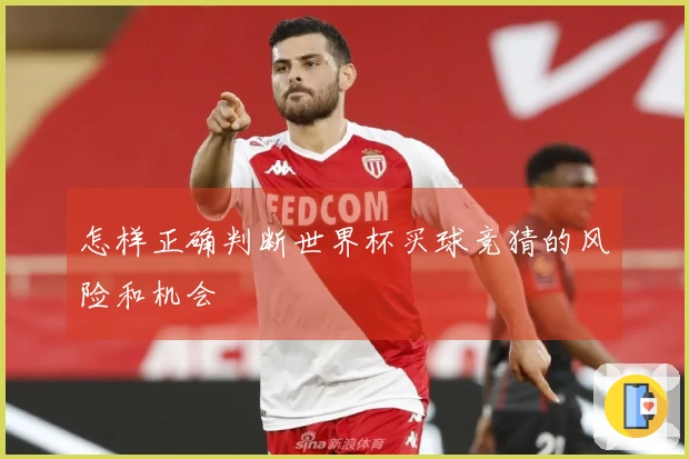 怎样正确判断世界杯买球竞猜的风险和机会